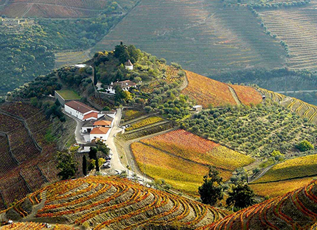 Les domaines au Portugal
